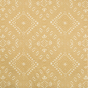 Penang Desert by Kravet Design Designer Fabric