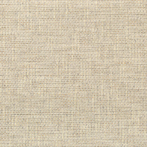 Walk About Pebble by Kravet Couture Designer Fabric