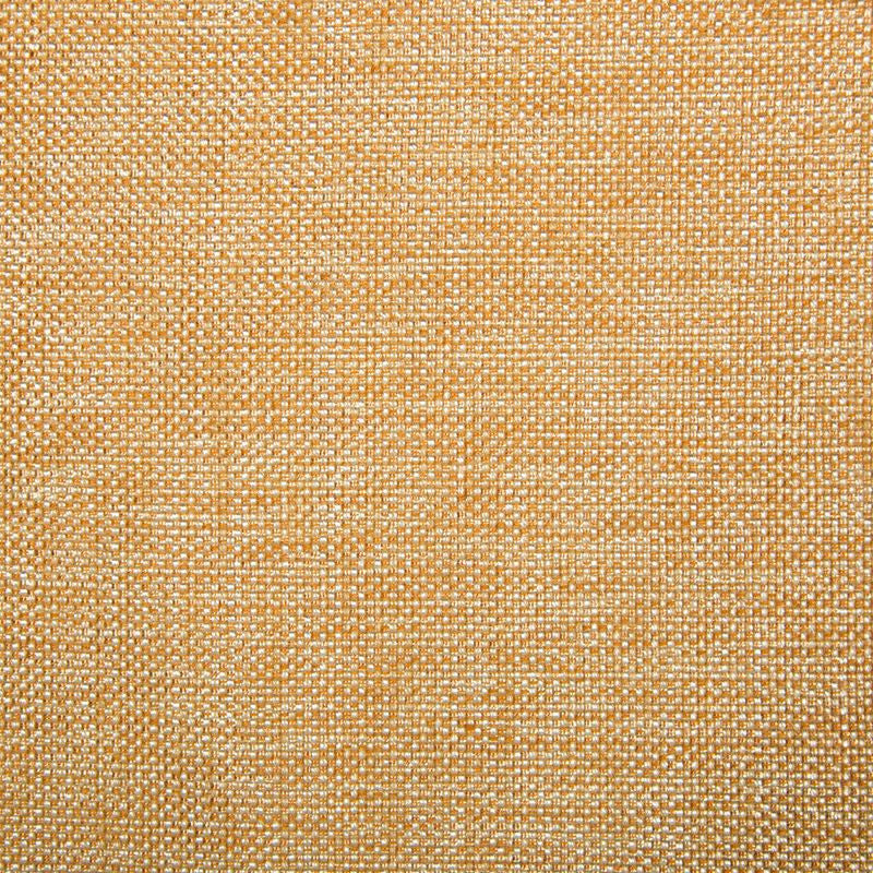 34926.1211 by Kravet Contract Designer Fabric our website for purchase Polyester 100% China Heavy Horizontal: see sample and Vertical: see sample 54 inches - Swanky Fabrics -