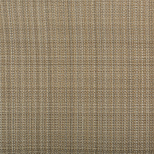 Tailor Made Sand by Kravet Couture Designer Fabric