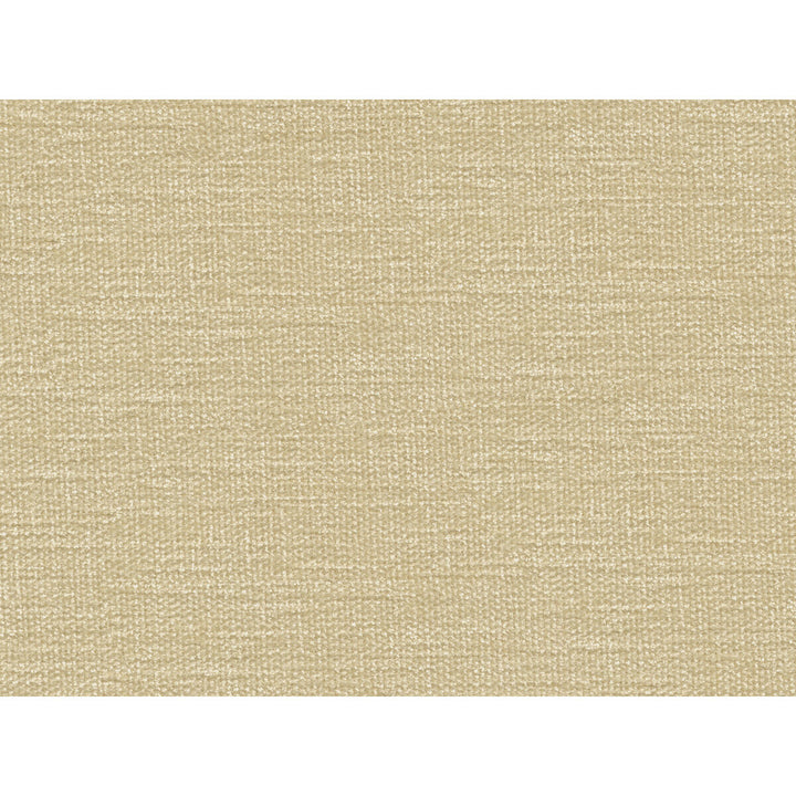 34959-1116 by Kravet Smart Designer Fabric PERFORMANCE KRAVETARMOR POLYESTER - 100% India HEAVY Horizontal: and Vertical: 54 - Swanky Fabrics -