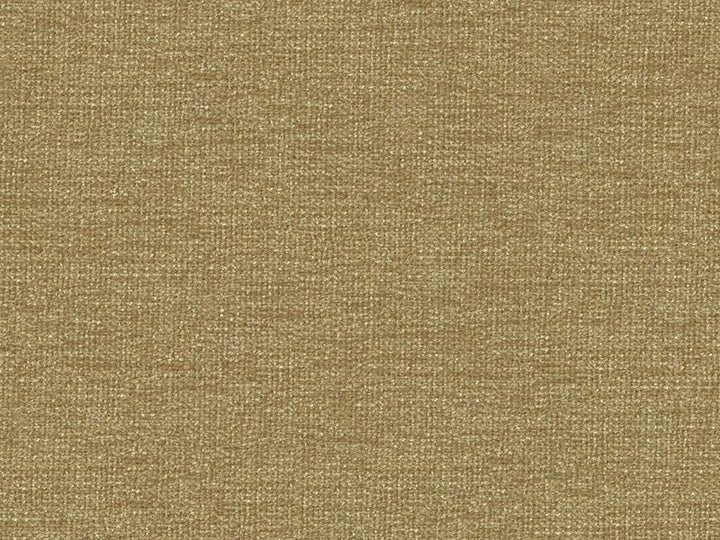 34961.116 by Kravet Contract Designer Fabric Performance Kravetarmor Polyester 100% India Heavy Horizontal: see sample and Vertical: see sample 54 inches - Swanky Fabrics -
