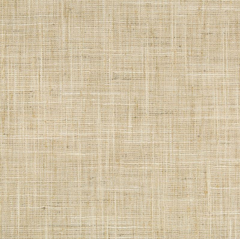 34983.1116 by Kravet Basics Designer Fabric our website for purchase Polyester 100% India Medium Horizontal: see sample and Vertical: see sample 54 inches - Swanky Fabrics -
