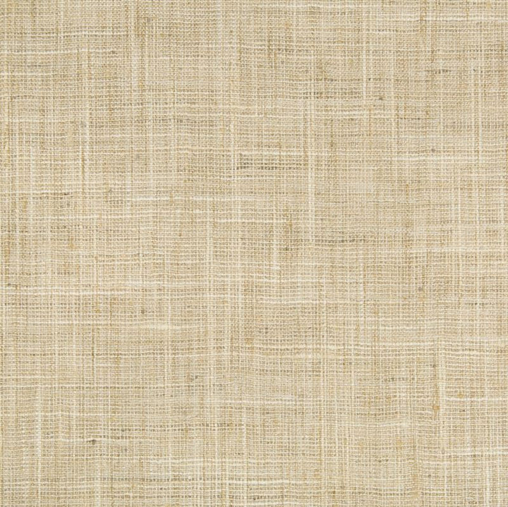 34983.1116 by Kravet Basics Designer Fabric our website for purchase Polyester 100% India Medium Horizontal: see sample and Vertical: see sample 54 inches - Swanky Fabrics -