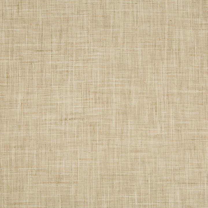 34983.16 by Kravet Basics Designer Fabric our website for purchase Polyester 100% India Medium Horizontal: see sample and Vertical: see sample 54 inches - Swanky Fabrics -