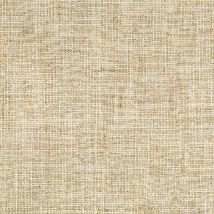 34983-1116 by Kravet Basics Designer Fabric - POLYESTER - 100% India MEDIUM Horizontal: - and Vertical: - 54 - Swanky Fabrics -