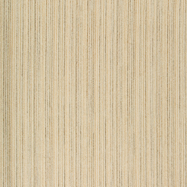 35033-1611 by Kravet Contract Designer Fabric INCASE CRYPTON GIS COTTON - 39%;RAYON - 34%;POLYESTER - 19%;FLAX - 7%;NYLON - 1% United States HEAVY Horizontal: 0 and Vertical: 0 56.75 - Swanky Fabrics -