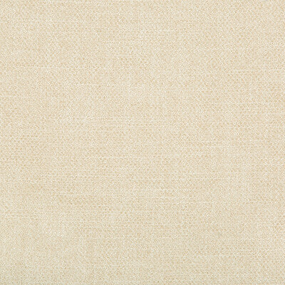 35060.1116.0 by Kravet Fabric Kravet Fabric 35060.1116.0Fabric PERFORMANCE KRAVETARMOR POLYESTER - 100% China </p><p>Repeat: H: 0, V: 0 55 - Fabric Carolina -