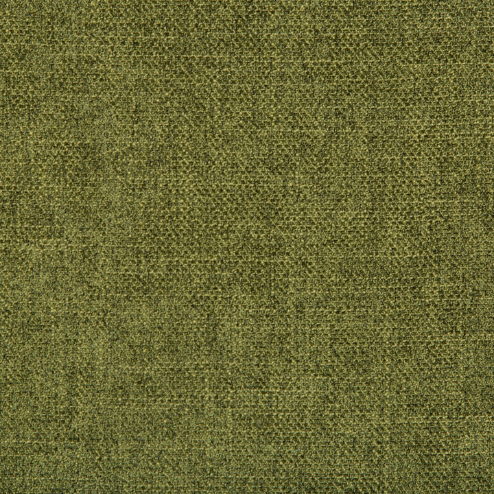 Kf Smt:: by Kravet Smart Designer Fabric PERFORMANCE KRAVETARMOR POLYESTER - 100% China HEAVY Horizontal: 0 and Vertical: 0 55 - Swanky Fabrics -