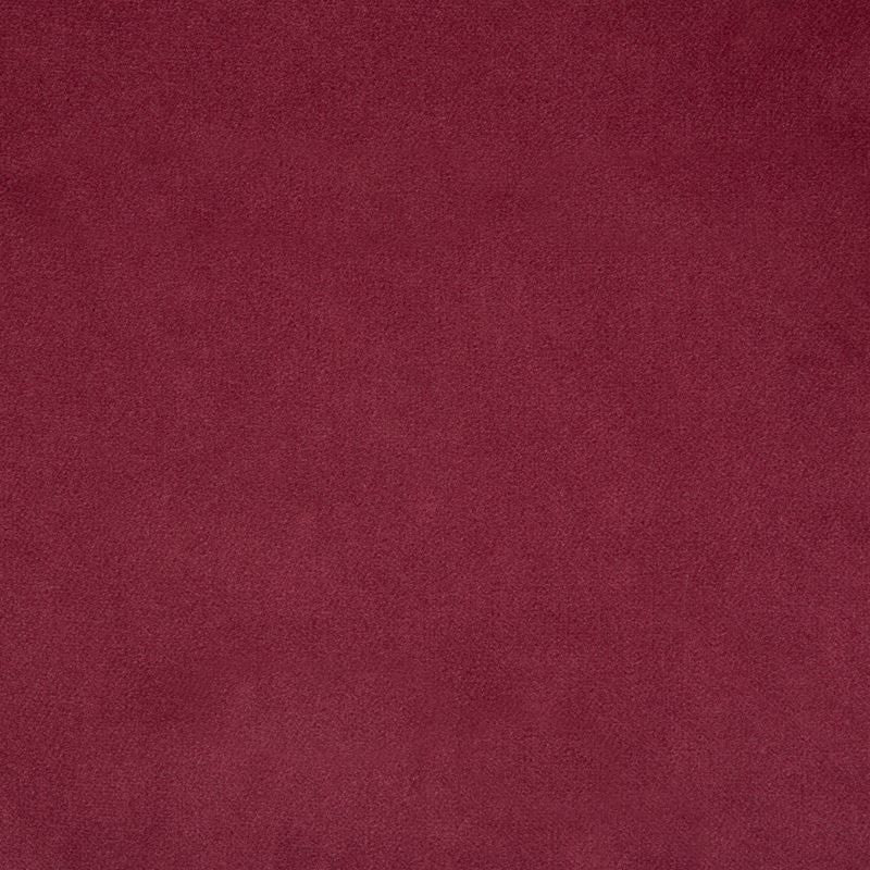 35061.707 by Kravet Design Designer Fabric Performance Kravetarmor Polyester 100% China Heavy Horizontal: see sample and Vertical: see sample 57 inches - Swanky Fabrics -