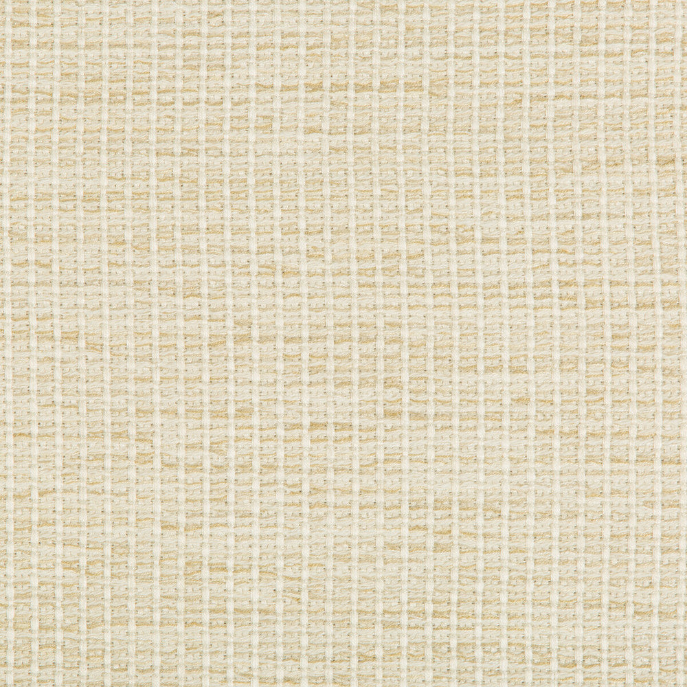 Kravet Design 35123-116 by Kravet Design Fabric Kravet Design Fabric Kravet Design 35123-116Fabric PERFORMANCE CRYPTON HOME RAYON - 85%;COTTON - 14%;NYLON - 1% United States </p><p>Repeat: H: 0, V: 0 54.5 - Fabric Carolina -