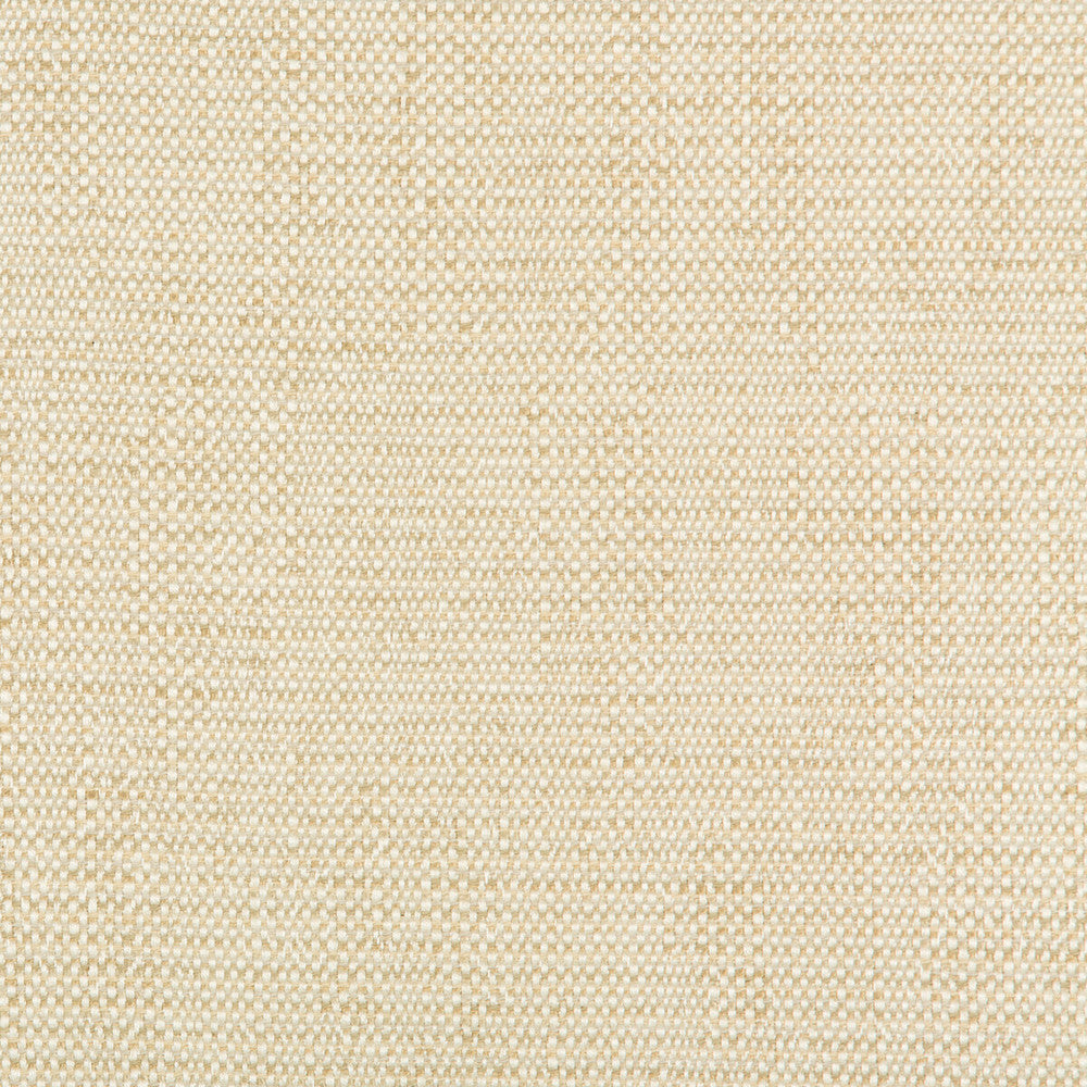 35132-116 by Kravet Contract Designer Fabric INCASE CRYPTON GIS RAYON - 78%;COTTON - 21%;NYLON - 1% United States HEAVY Horizontal: 0 and Vertical: 0 57 - Swanky Fabrics -