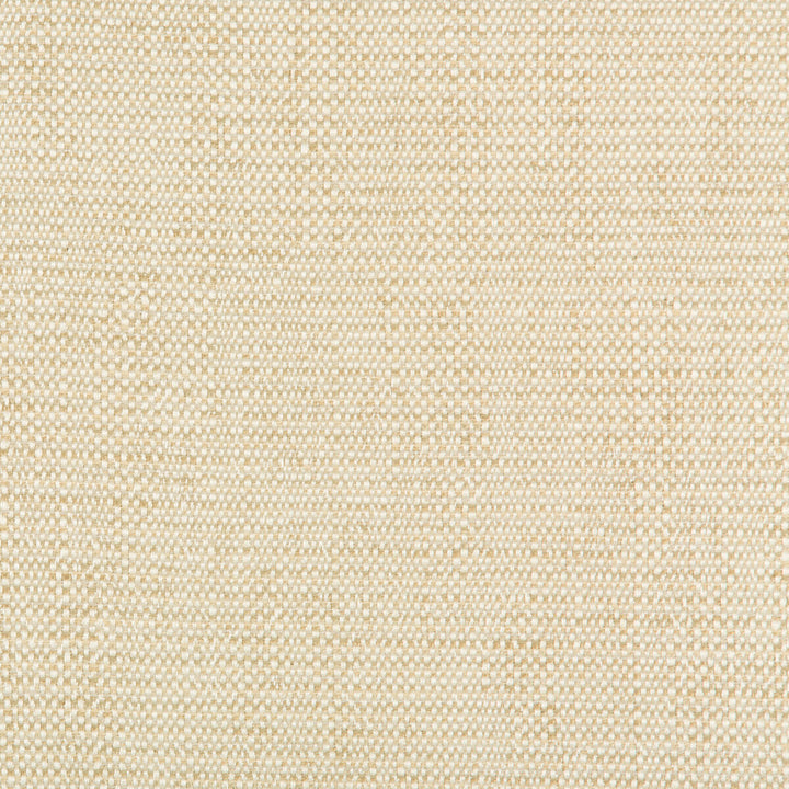 35132-116 by Kravet Contract Designer Fabric INCASE CRYPTON GIS RAYON - 78%;COTTON - 21%;NYLON - 1% United States HEAVY Horizontal: 0 and Vertical: 0 57 - Swanky Fabrics -