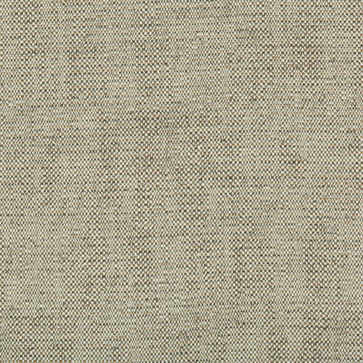 35132-1611 by Kravet Contract Designer Fabric INCASE CRYPTON GIS RAYON - 78%;COTTON - 21%;NYLON - 1% United States HEAVY Horizontal: 0 and Vertical: 0 57 - Swanky Fabrics -