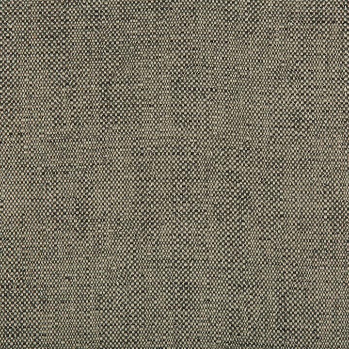 35132-21 by Kravet Contract Designer Fabric INCASE CRYPTON GIS RAYON - 78%;COTTON - 21%;NYLON - 1% United States HEAVY Horizontal: 0 and Vertical: 0 57 - Swanky Fabrics -