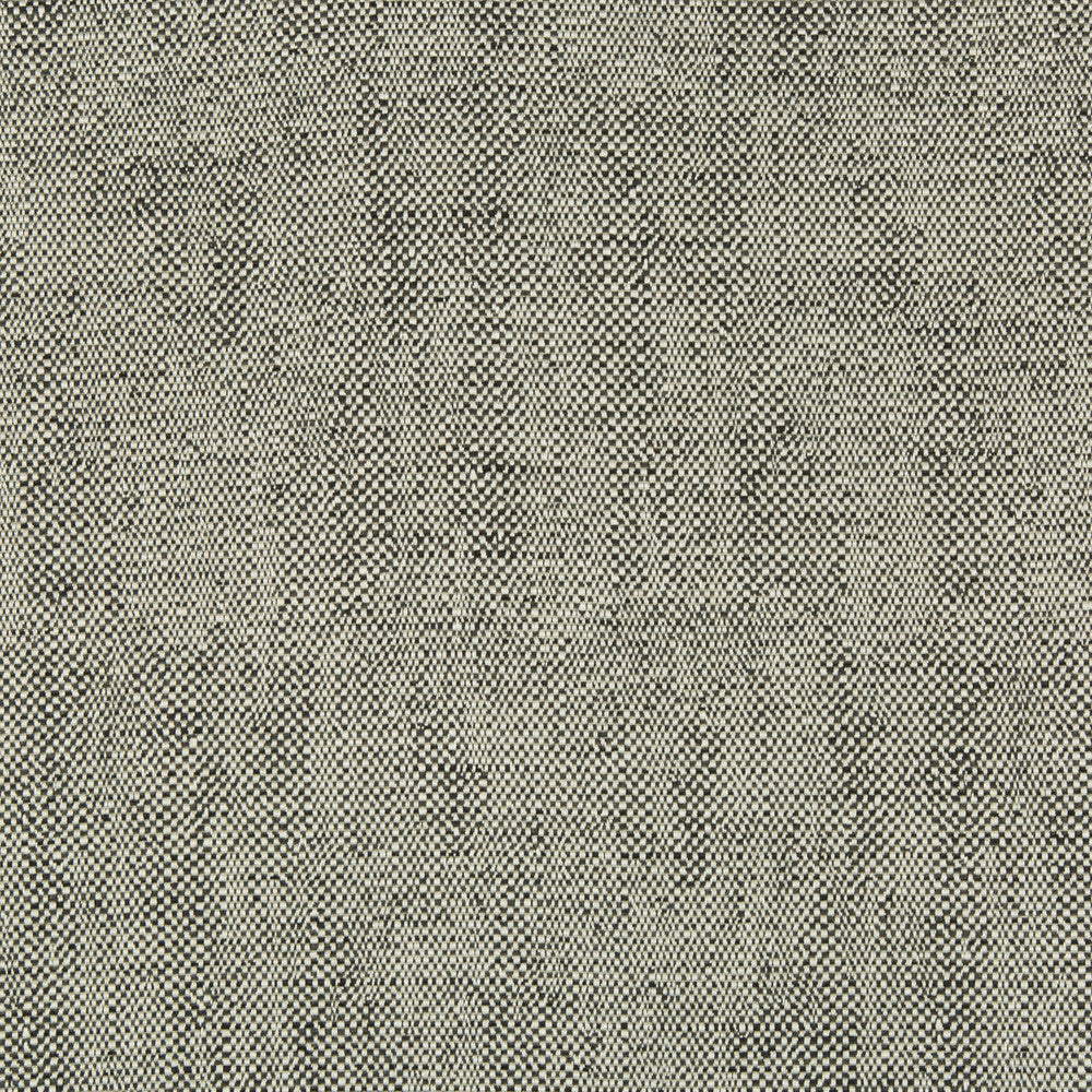 35132-81 by Kravet Contract Designer Fabric INCASE CRYPTON GIS RAYON - 78%;COTTON - 21%;NYLON - 1% United States HEAVY Horizontal: 0 and Vertical: 0 57 - Swanky Fabrics -