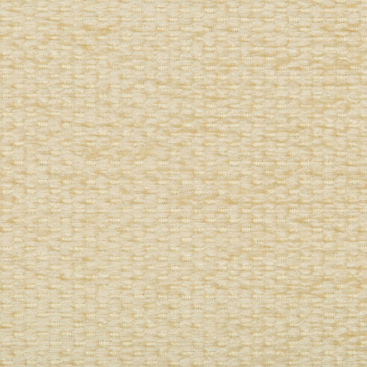 35133-116 by Kravet Design Designer Fabric PERFORMANCE CRYPTON HOME ACRYLIC - 79%;POLYESTER - 21% United States HEAVY Horizontal: 0 and Vertical: 0 56.5 - Swanky Fabrics -