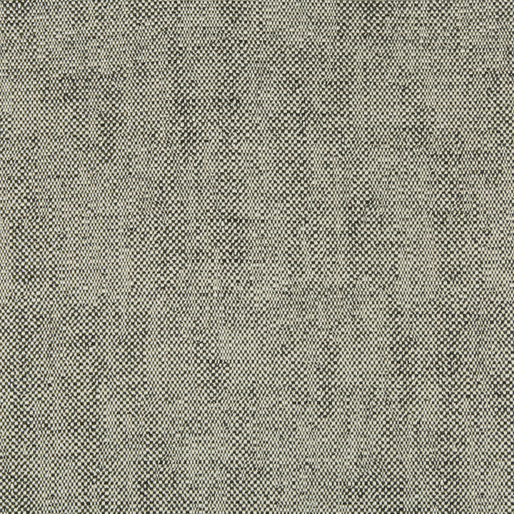 35135-81 by Kravet Design Designer Fabric PERFORMANCE CRYPTON HOME RAYON - 78%;COTTON - 21%;NYLON - 1% United States HEAVY Horizontal: 0 and Vertical: 0 57 - Swanky Fabrics -