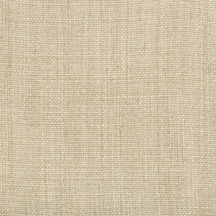 35189.1016 by Kravet Basics Designer Fabric our website for purchase Rayon 75%, Linen 15%, Cotton 10% China Heavy Horizontal: see sample and Vertical: see sample 54 inches - Swanky Fabrics -