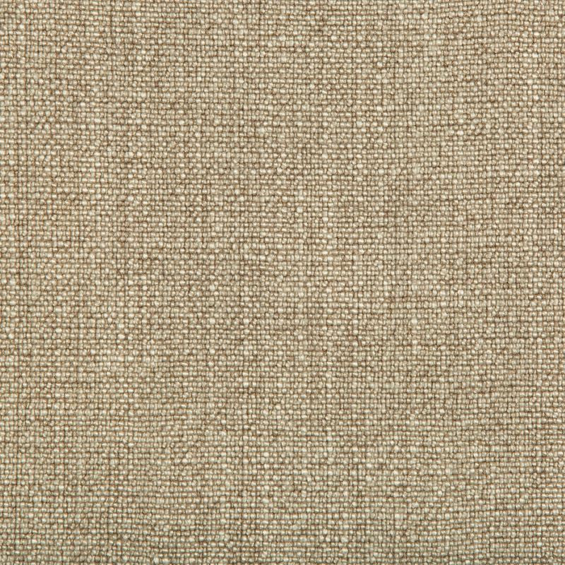 35189.106 by Kravet Basics Designer Fabric our website for purchase Rayon 75%, Linen 15%, Cotton 10% China Heavy Horizontal: see sample and Vertical: see sample 54 inches - Swanky Fabrics -