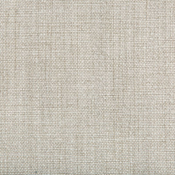 35189.1106 by Kravet Basics Designer Fabric our website for purchase Rayon 75%, Linen 15%, Cotton 10% China Heavy Horizontal: see sample and Vertical: see sample 54 inches - Swanky Fabrics -