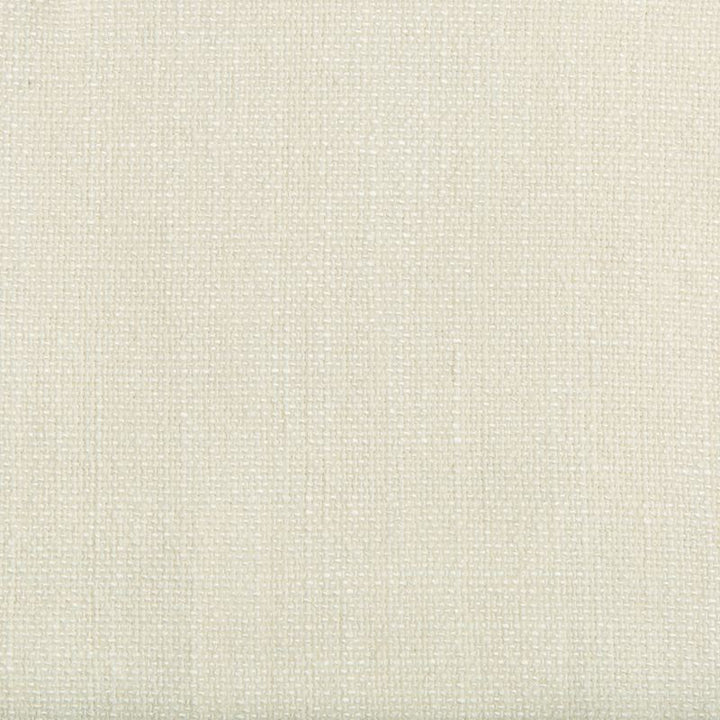 35189.111 by Kravet Basics Designer Fabric our website for purchase Rayon 75%, Linen 15%, Cotton 10% China Heavy Horizontal: see sample and Vertical: see sample 54 inches - Swanky Fabrics -