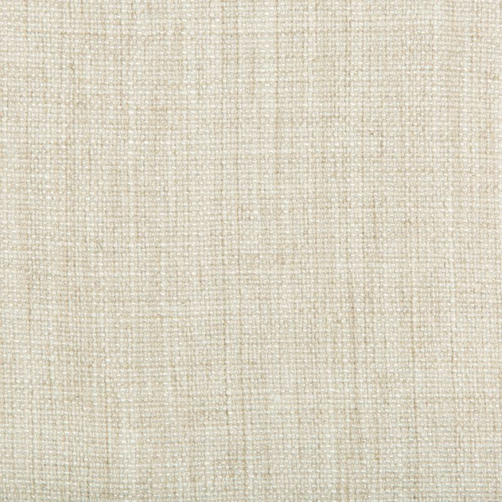 35189.1616 by Kravet Basics Designer Fabric our website for purchase Rayon 75%, Linen 15%, Cotton 10% China Heavy Horizontal: see sample and Vertical: see sample 54 inches - Swanky Fabrics -