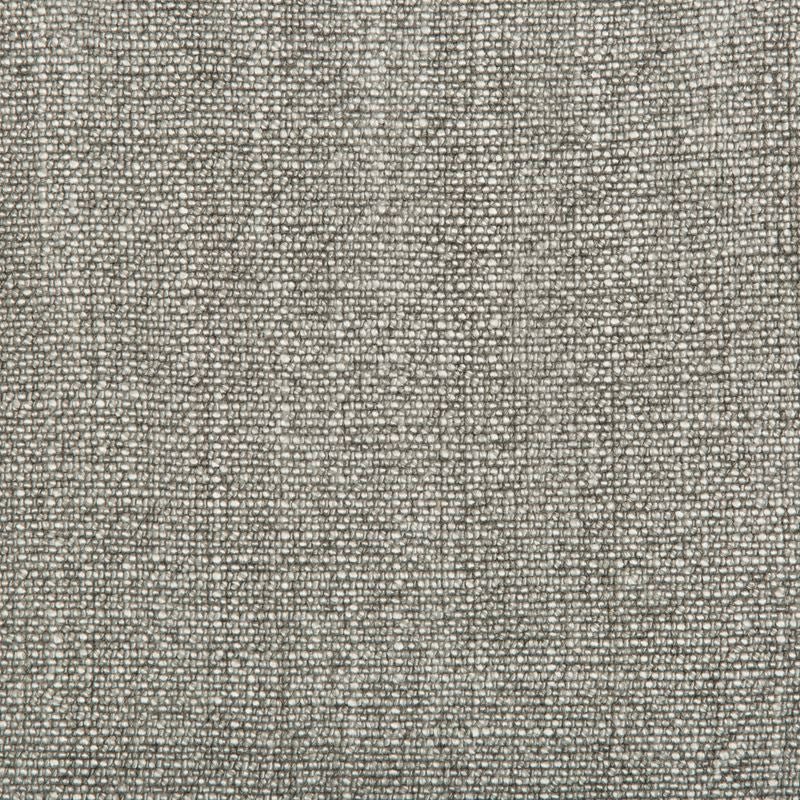 35189.2111 by Kravet Basics Designer Fabric our website for purchase Rayon 75%, Linen 15%, Cotton 10% China Heavy Horizontal: see sample and Vertical: see sample 54 inches - Swanky Fabrics -