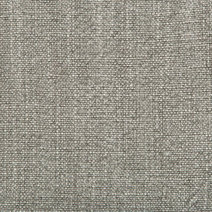 35189.2111 by Kravet Basics Designer Fabric our website for purchase Rayon 75%, Linen 15%, Cotton 10% China Heavy Horizontal: see sample and Vertical: see sample 54 inches - Swanky Fabrics -