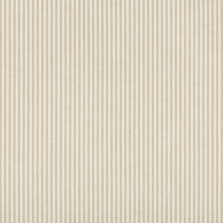 35199-116 by Kravet Basics Designer Fabric COTTON - 100% Portugal HEAVY Horizontal: 0 and Vertical: 0 54 - Swanky Fabrics -