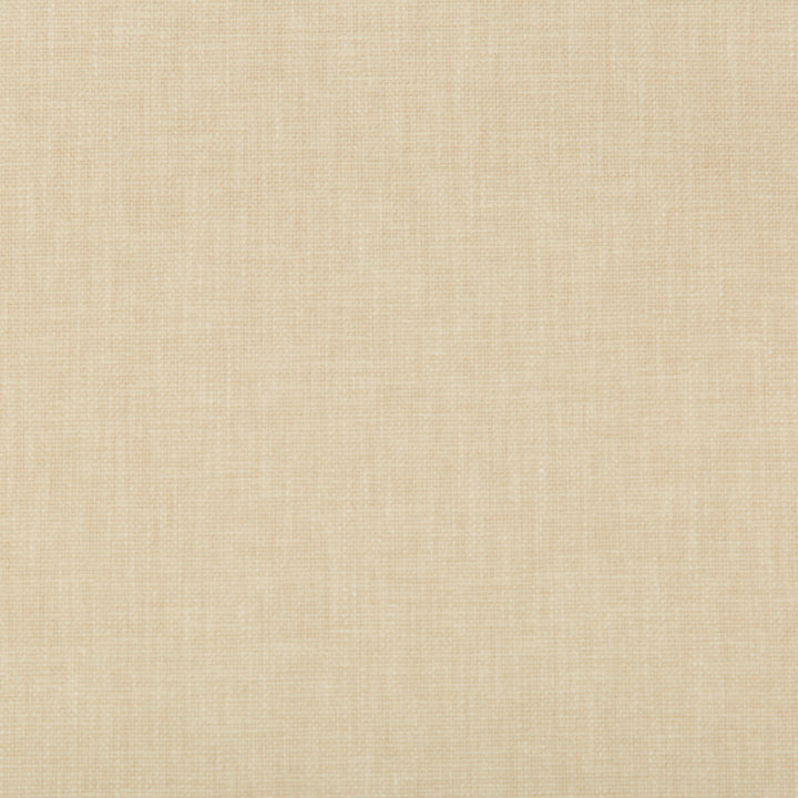35245-16 by Kravet Basics Designer Fabric COTTON - 50%;POLYESTER - 50% India HEAVY Horizontal: 0 and Vertical: 0 55 - Swanky Fabrics -