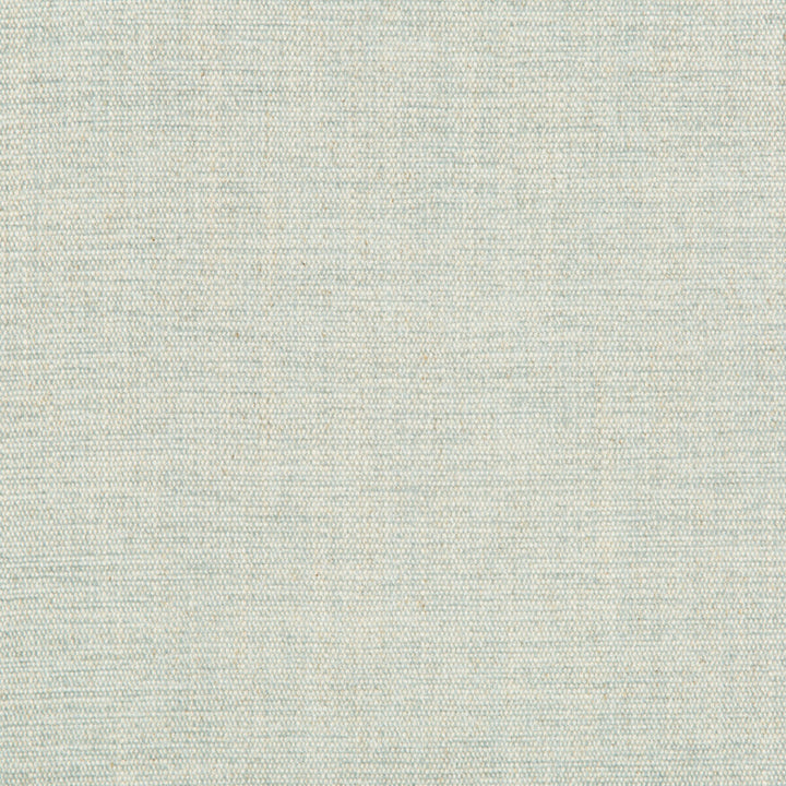 Rutledge Spa by Kravet Basics Designer Fabric GREENWICH COLLECTION ACRYLIC CHENILLE - 50%;COTTON - 19%;LINEN - 11%;POLYESTER - 10%;VISCOSE - 10% Turkey HEAVY Horizontal: and Vertical: 54 - Swanky Fabrics -
