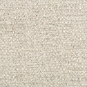 Rutledge Pewter by Kravet Basics Designer Fabric