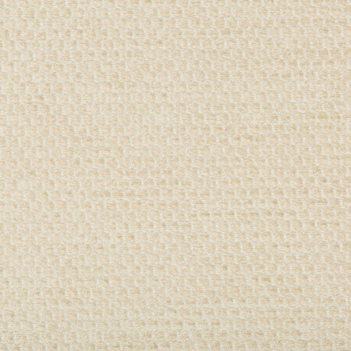 35321-16 by Kravet Smart Designer Fabric PERFORMANCE KRAVETARMOR POLYESTER - 66%;VISCOSE - 34% India HEAVY Horizontal: and Vertical: 54 - Swanky Fabrics -