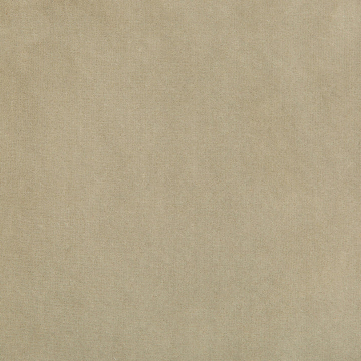 Kravet Design 35366-1100 by Kravet Design Fabric Kravet Design Fabric Kravet Design 35366-1100Fabric COTTON - 100% Netherlands </p><p>Repeat: H: 0, V: 0 55 - Fabric Carolina -