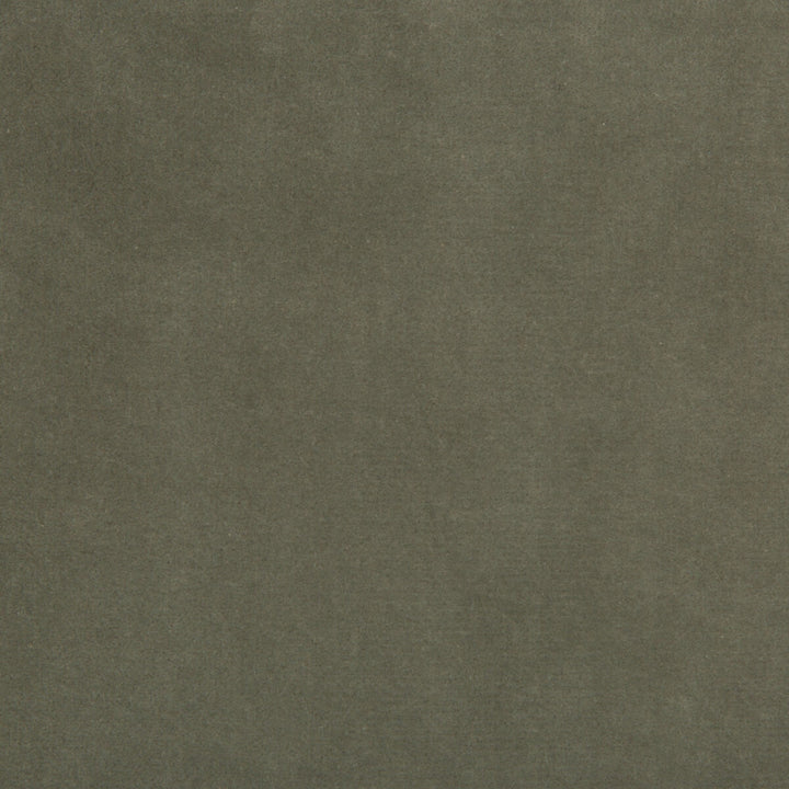 35366-11 by Kravet Design Designer Fabric - COTTON - 100% Netherlands HEAVY Horizontal: 0 and Vertical: 0 55 - Swanky Fabrics -