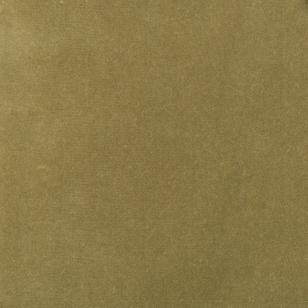Kravet Design 35366-130 by Kravet Design Fabric Kravet Design Fabric Kravet Design 35366-130Fabric COTTON - 100% Netherlands </p><p>Repeat: H: 0, V: 0 55 - Fabric Carolina -