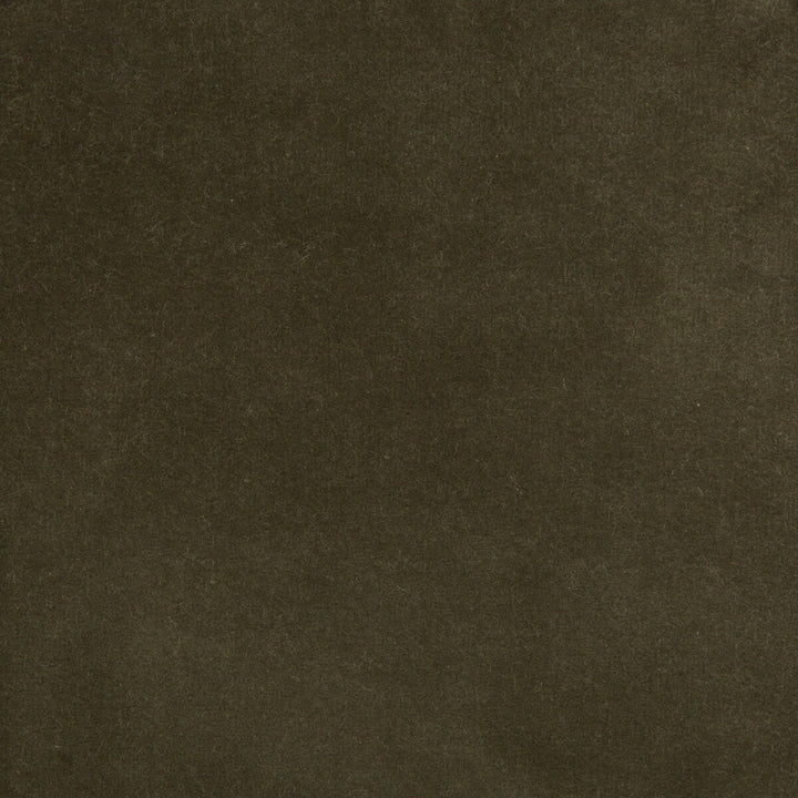 35366-2111 by Kravet Design Designer Fabric - COTTON - 100% Netherlands HEAVY Horizontal: 0 and Vertical: 0 55 - Swanky Fabrics -