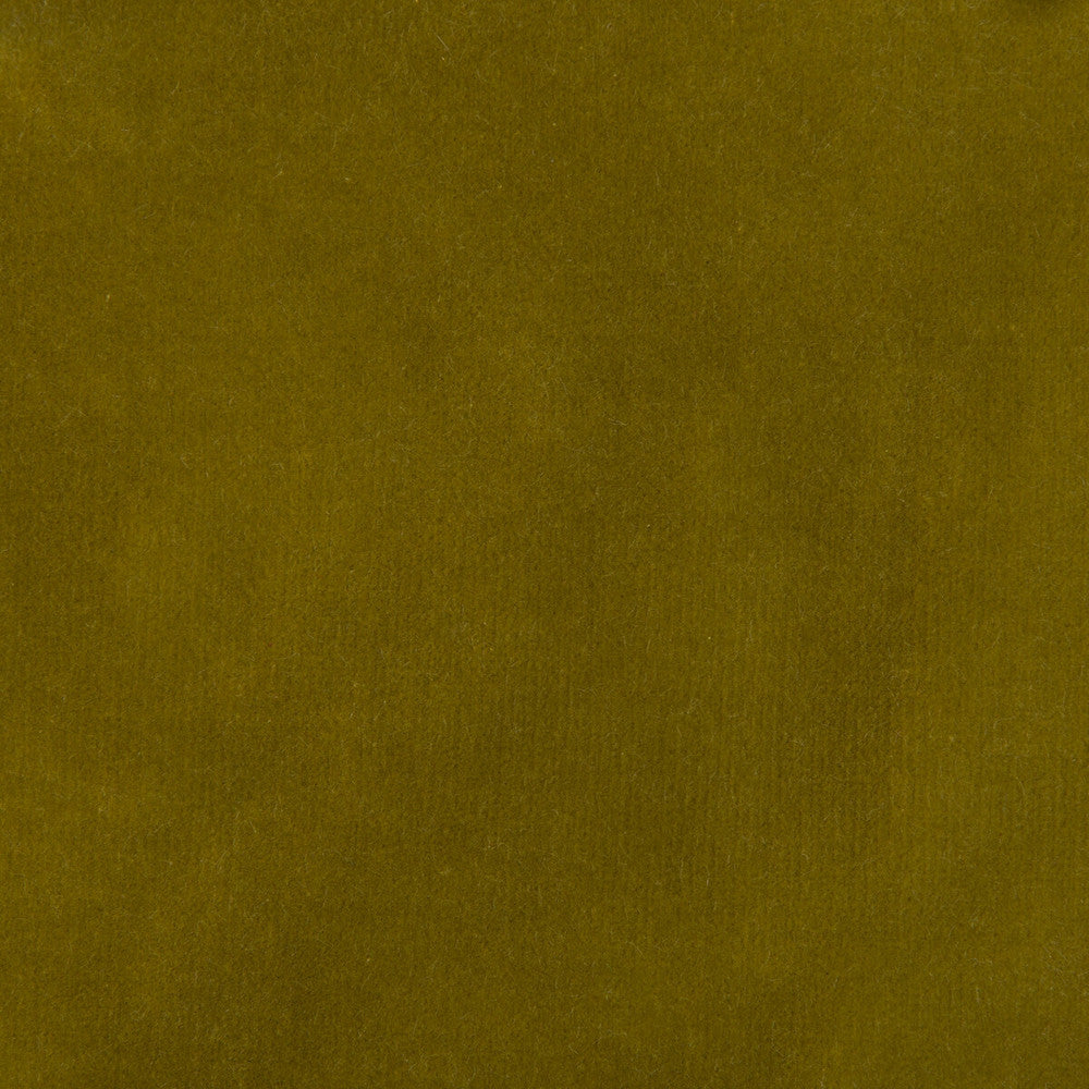 35366-304 by Kravet Design Designer Fabric - COTTON - 100% Netherlands HEAVY Horizontal: 0 and Vertical: 0 55 - Swanky Fabrics -