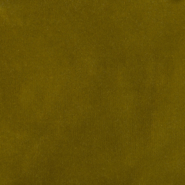 35366-304 by Kravet Design Designer Fabric - COTTON - 100% Netherlands HEAVY Horizontal: 0 and Vertical: 0 55 - Swanky Fabrics -