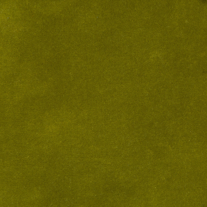 35366-340 by Kravet Design Designer Fabric - COTTON - 100% Netherlands HEAVY Horizontal: 0 and Vertical: 0 55 - Swanky Fabrics -