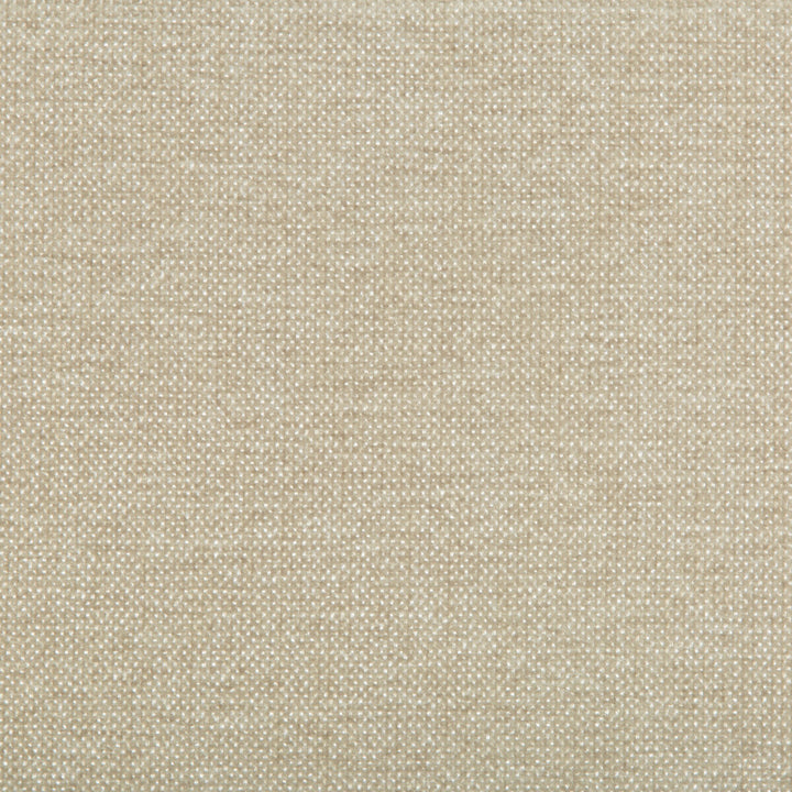 35393-116 by Kravet Smart Designer Fabric PERFORMANCE CRYPTON HOME POLYESTER - 100% China HEAVY Horizontal: - and Vertical: - 54 - Swanky Fabrics -