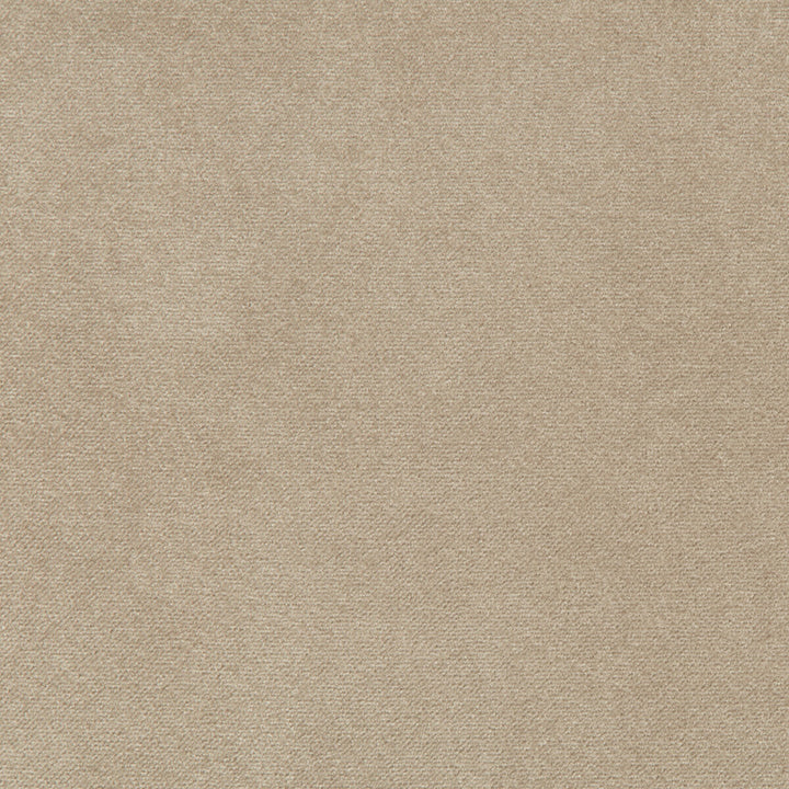 Madison Velvet Porcini by Kravet Contract Designer Fabric - POLYESTER - 100% Turkey HEAVY Horizontal: - and Vertical: - 55 - Swanky Fabrics -