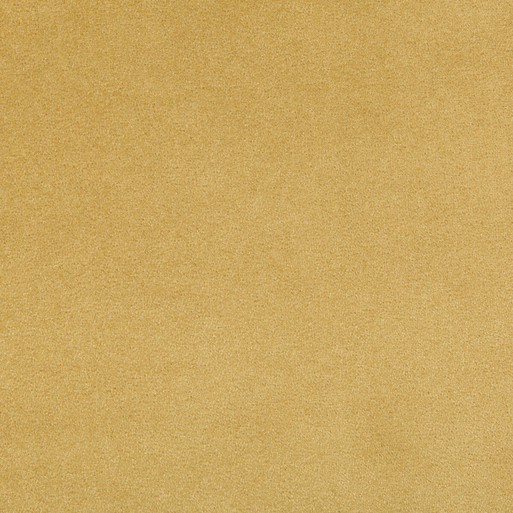 Madison Velvet Marigold by Kravet Contract Designer Fabric - POLYESTER - 100% Turkey HEAVY Horizontal: - and Vertical: - 55 - Swanky Fabrics -