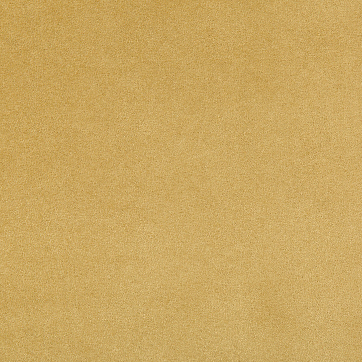 Madison Velvet Marigold by Kravet Contract Designer Fabric POLYESTER - 100% Turkey HEAVY Horizontal: and Vertical: 55 - Swanky Fabrics -