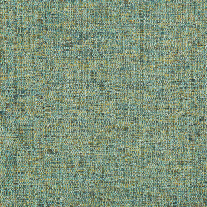 35479-423 by Kravet Contract Designer Fabric - POLYESTER - 100% China HEAVY Horizontal: 0 and Vertical: 0 54 - Swanky Fabrics -