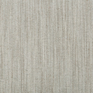 Carbon Texture Cloud by Kravet Design Designer Fabric