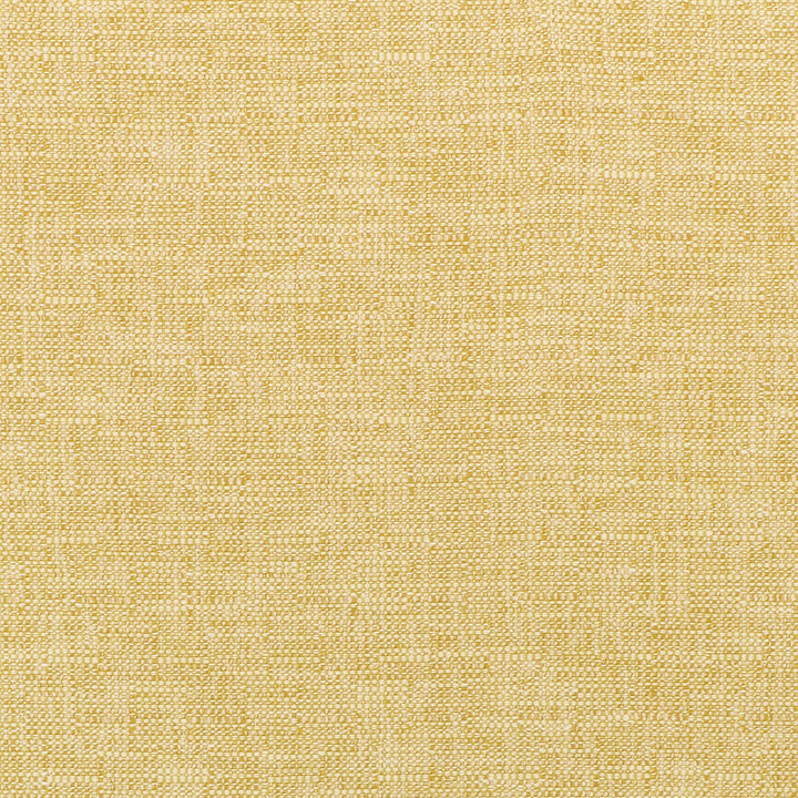 35518-14 by Kravet Smart Designer Fabric INSIDE OUT PERFORMANCE FABRICS POLYESTER - 73%;OLEFIN - 27% United States HEAVY Horizontal: 2.25 and Vertical: 2.25 55 - Swanky Fabrics -
