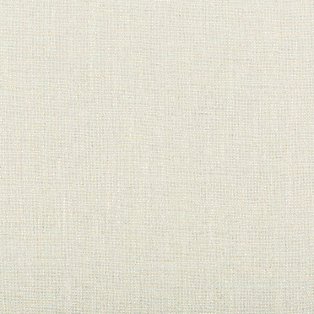 Aura Lace by Kravet Design Designer Fabric - VISCOSE - 67%;LINEN - 33% Italy HEAVY Horizontal: 0 and Vertical: 0 55.12 - Swanky Fabrics -