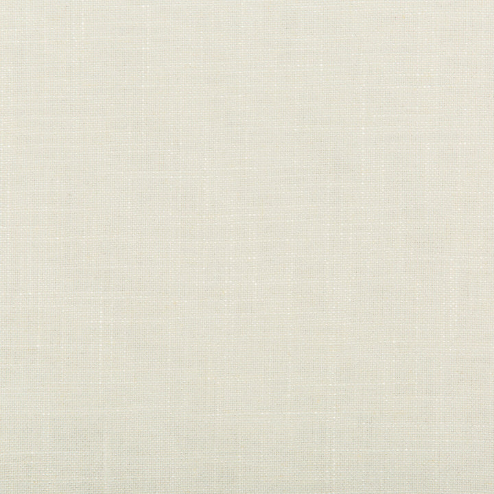 Aura Lace by Kravet Design Designer Fabric VISCOSE - 67%;LINEN - 33% Italy HEAVY Horizontal: 0 and Vertical: 0 55.12 - Swanky Fabrics -